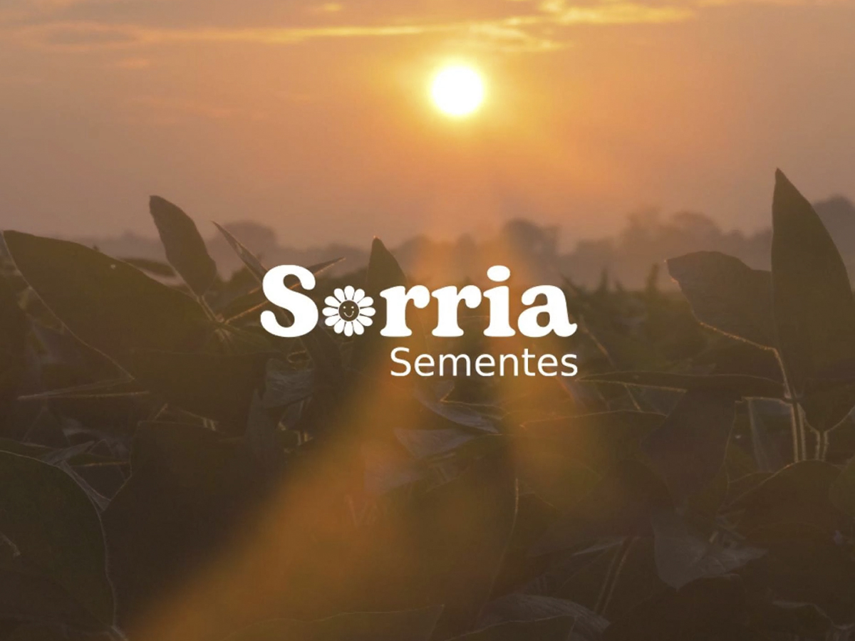 Sementes%20Sorria